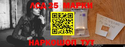 гидропоника Бугуруслан