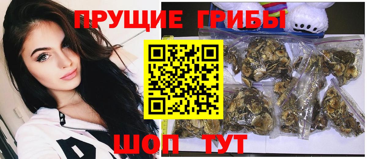 Галлюциногенные грибы Psilocybe Улан-Удэ