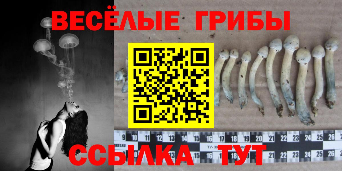 Галлюциногенные грибы ЛСД  Вход с VPN  Псилоцибиновые грибы ЛСД  Улан-Удэ 